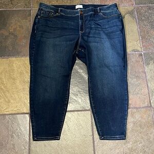 Lane Bryant Dark Wash Jeans 34/36